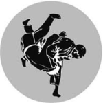 Judo und Ju-Jitsu Club Ni-Honto Heiligkreuz